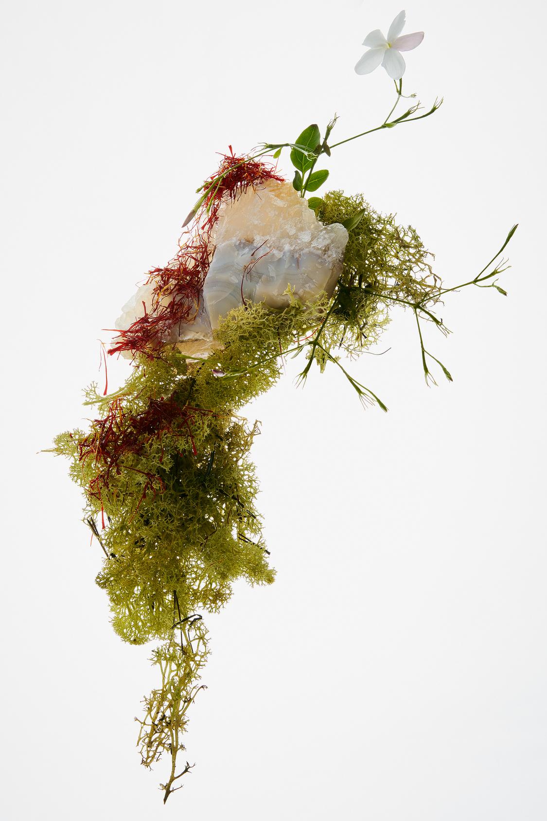 red zara temptation red zara temptation